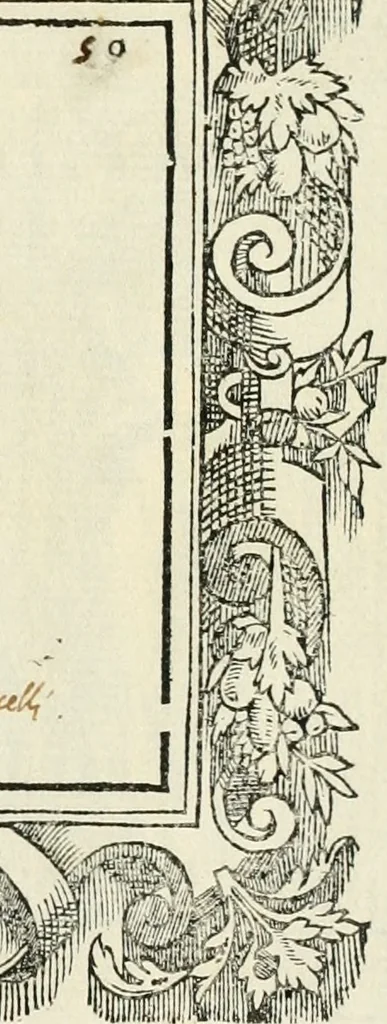An illustration from Di Battista Pittoni pittore vicentino Imprese di diversi prencipi, dvchi, signori, e d'altri personaggi et hvomini letterati et illvstri : con alcune stanze del Dolce che dichiarano i motti di esse imprese, 1562, leaf 204