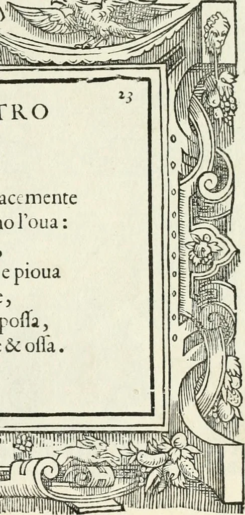 An illustration from Di Battista Pittoni pittore vicentino Imprese di diversi prencipi, dvchi, signori, e d'altri personaggi et hvomini letterati et illvstri : con alcune stanze del Dolce che dichiarano i motti di esse imprese, 1562, leaf 96