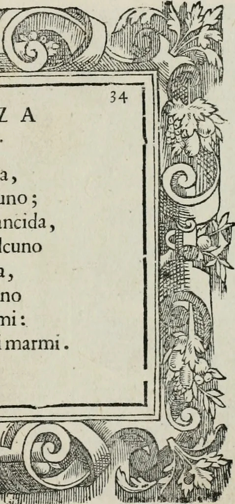 An illustration from Di Battista Pittoni pittore vicentino Imprese di diuersi prencipi, duchi, signori, e d’altri personaggi et huomini letterati et illustri : con alcune stanze del Dolce che dichiarano i motti di esse imprese., 1562, leaf 142