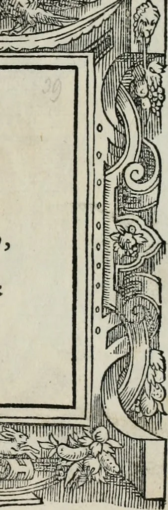 An illustration from Di Battista Pittoni pittore vicentino Imprese di diuersi prencipi, duchi, signori, e d’altri personaggi et huomini letterati et illustri : con alcune stanze del Dolce che dichiarano i motti di esse imprese., 1562, leaf 162