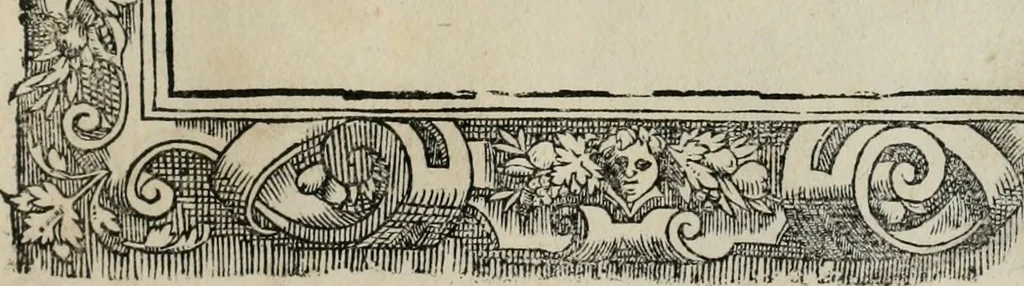 An illustration from Di Battista Pittoni pittore vicentino Imprese di diuersi prencipi, duchi, signori, e d’altri personaggi et huomini letterati et illustri : con alcune stanze del Dolce che dichiarano i motti di esse imprese., 1562, leaf 46