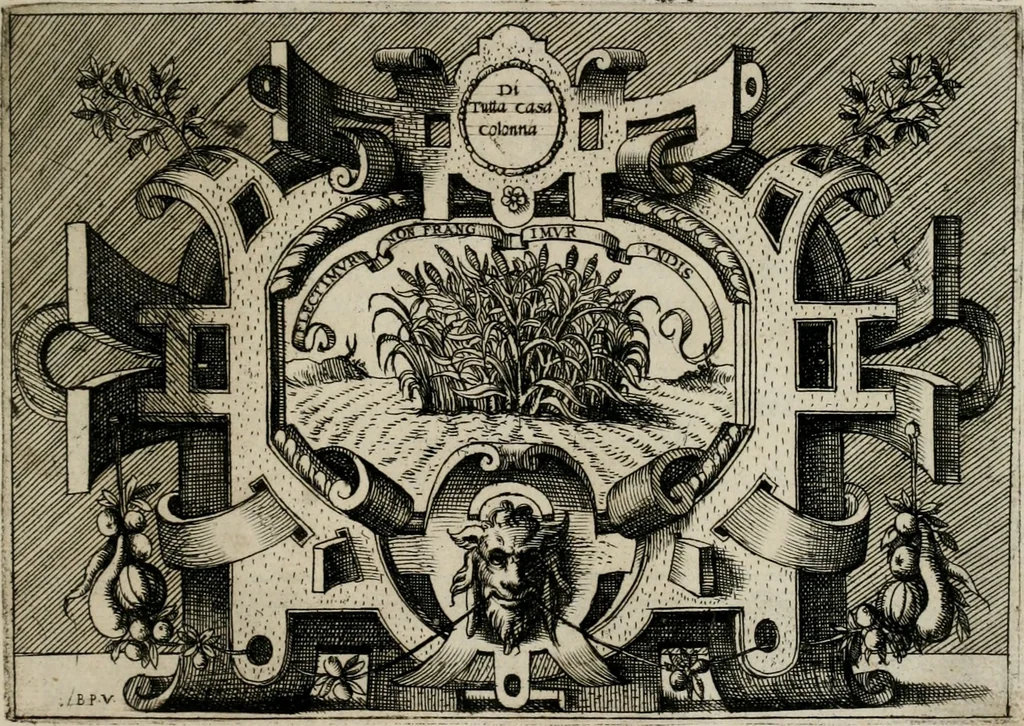 An illustration from Di Battista Pittoni pittore vicentino Imprese di diuersi prencipi, duchi, signori, e d’altri personaggi et huomini letterati et illustri : con alcune stanze del Dolce che dichiarano i motti di esse imprese., 1562, leaf 68