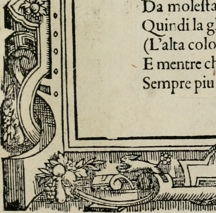 An illustration from Di Battista Pittoni pittore vicentino Imprese di diuersi prencipi, duchi, signori, e d’altri personaggi et huomini letterati et illustri : con alcune stanze del Dolce che dichiarano i motti di esse imprese., 1562, leaf 70