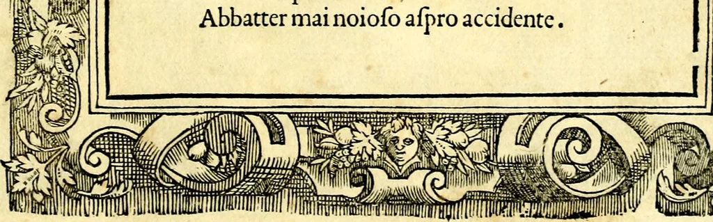 An illustration from Di Battista Pittoni pittore vicentino ano. M.D.LXVIII Impresse di diversi prencipi, dvchi, signori, e d'altri personaggi et hvomini letterati et illvstri. Con priuillegio di Venetia per anni XV. Con alcune stanze del Dolce che dichiarano i motti di esse imprese, 1562, leaf 118