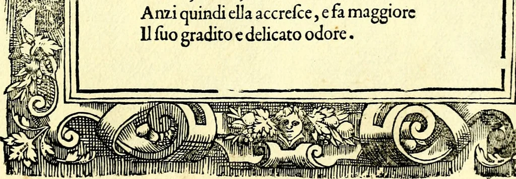 An illustration from Di Battista Pittoni pittore vicentino ano. M.D.LXVIII Impresse di diversi prencipi, dvchi, signori, e d'altri personaggi et hvomini letterati et illvstri. Con priuillegio di Venetia per anni XV. Con alcune stanze del Dolce che dichiarano i motti di esse imprese, 1562, leaf 170
