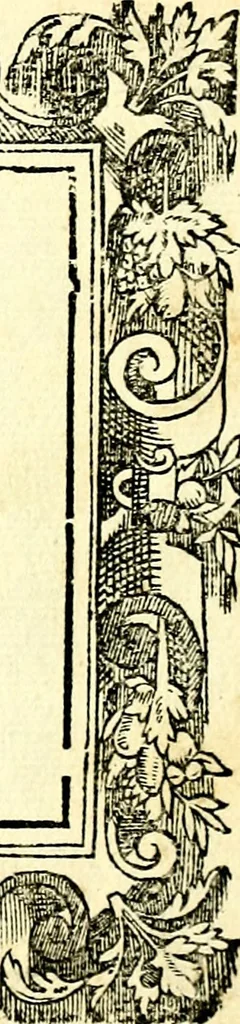 An illustration from Di Battista Pittoni pittore vicentino ano. M.D.LXVIII Impresse di diversi prencipi, dvchi, signori, e d'altri personaggi et hvomini letterati et illvstri. Con priuillegio di Venetia per anni XV. Con alcune stanze del Dolce che dichiarano i motti di esse imprese, 1562, leaf 206