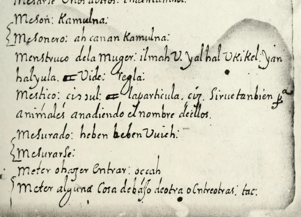 An illustration from [Diccionario de Motul, maya español], 1577, leaf 117