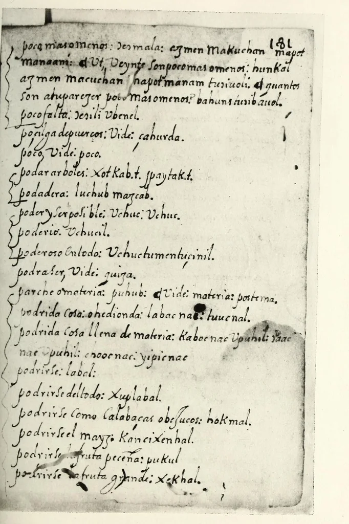 An illustration from [Diccionario de Motul, maya español], 1577, leaf 205