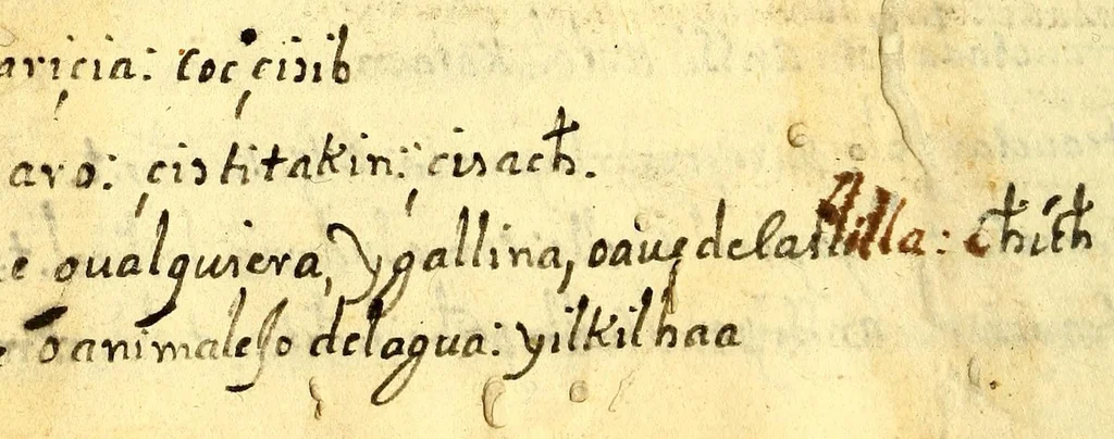 An illustration from [Diccionario de Motul, maya español], 1577, leaf 86