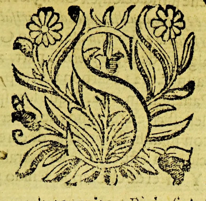 An illustration from Dicertacion canonica y legal, sobre si en la causa de la immunidad espiritual, pueda auer auto de legos, y otros derechos de la misma immunidad: respondiendo a algunas dudas. : Comunicala, a sus vicarios, y curas., 1693, leaf 9