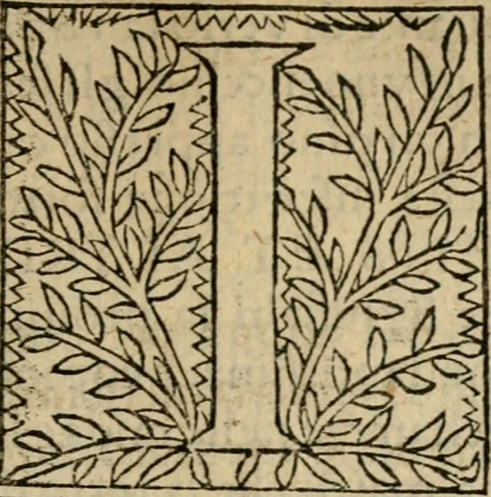 An illustration from Dichiaratione dell'arco fatto in Padova nella venvta della serenissima reina Bona di Polonia, 1516, leaf 6