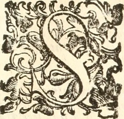 An illustration from Dichiarazioni della pianta dell'antiche Siracuse, e d'alcune scelte medaglie d'esse, e de' principi che quelle possedettero, 1613, leaf 122