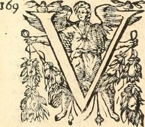 An illustration from Dichiarazioni della pianta dell'antiche Siracuse, e d'alcune scelte medaglie d'esse, e de' principi che quelle possedettero, 1613, leaf 134