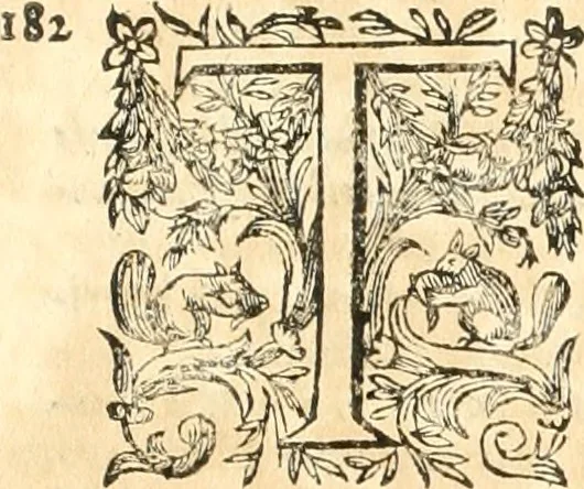 An illustration from Dichiarazioni della pianta dell'antiche Siracuse, e d'alcune scelte medaglie d'esse, e de' principi che quelle possedettero, 1613, leaf 138