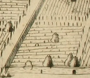 An illustration from Dichiarazioni della pianta dell'antiche Siracuse, e d'alcune scelte medaglie d'esse, e de' principi che quelle possedettero, 1613, leaf 149