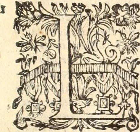 An illustration from Dichiarazioni della pianta dell'antiche Siracuse, e d'alcune scelte medaglie d'esse, e de' principi che quelle possedettero, 1613, leaf 232
