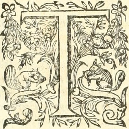 An illustration from Dichiarazioni della pianta dell'antiche Siracuse, e d'alcune scelte medaglie d'esse, e de' principi che quelle possedettero, 1613, leaf 276