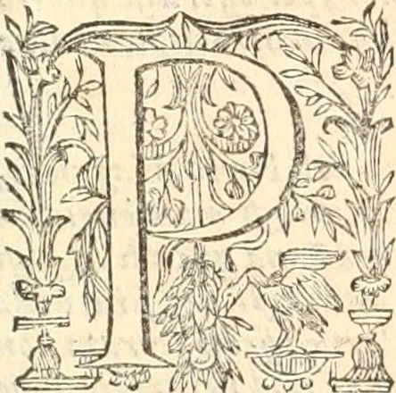 An illustration from Dichiarazioni della pianta dell'antiche Siracuse, e d'alcune scelte medaglie d'esse, e de' principi che quelle possedettero, 1613, leaf 30