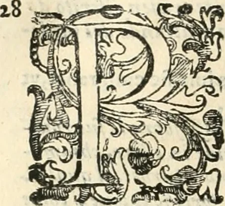 An illustration from Dichiarazioni della pianta dell'antiche Siracuse, e d'alcune scelte medaglie d'esse, e de' principi che quelle possedettero, 1613, leaf 51