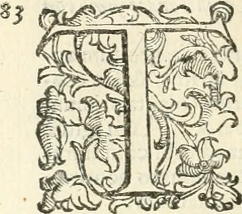 An illustration from Dichiarazioni della pianta dell'antiche Siracuse, e d'alcune scelte medaglie d'esse, e de' principi che quelle possedettero, 1613, leaf 79