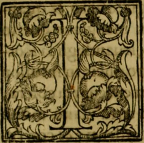 An illustration from Trattato di Christoforo Acosta africano medico & chirurgo della historia, natvra, et virtv delle droghe medicinali, & altri semplici rarissimi, che vengono portati dalle Indie Orientali in Europa : con le figure delle piante ritratte, & disegnate dal viuo poste a' luoghi proprij : nuouamente recato dalla spagnuola nella nostra lingua : con due indici, vno de' capi principali, l'altro delle cose di più momento, che si ritrouano in tutta l'opera, 1585, leaf 104