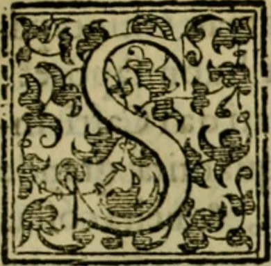 An illustration from Trattato di Christoforo Acosta africano medico & chirurgo della historia, natvra, et virtv delle droghe medicinali, & altri semplici rarissimi, che vengono portati dalle Indie Orientali in Europa : con le figure delle piante ritratte, & disegnate dal viuo poste a' luoghi proprij : nuouamente recato dalla spagnuola nella nostra lingua : con due indici, vno de' capi principali, l'altro delle cose di più momento, che si ritrouano in tutta l'opera, 1585, leaf 110
