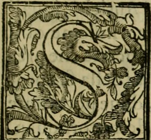 An illustration from Trattato di Christoforo Acosta africano medico & chirurgo della historia, natvra, et virtv delle droghe medicinali, & altri semplici rarissimi, che vengono portati dalle Indie Orientali in Europa : con le figure delle piante ritratte, & disegnate dal viuo poste a' luoghi proprij : nuouamente recato dalla spagnuola nella nostra lingua : con due indici, vno de' capi principali, l'altro delle cose di più momento, che si ritrouano in tutta l'opera, 1585, leaf 12