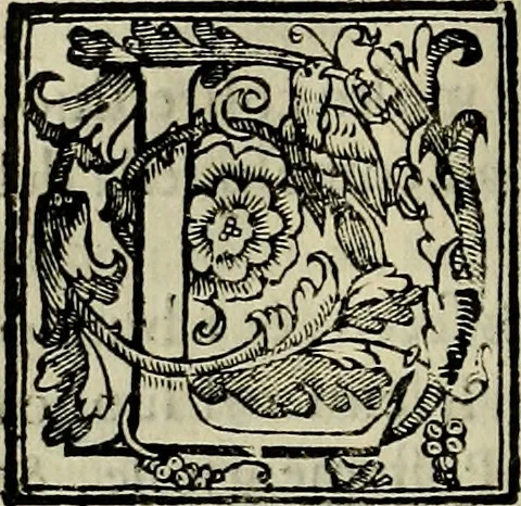 An illustration from Trattato di Christoforo Acosta africano medico & chirurgo della historia, natvra, et virtv delle droghe medicinali, & altri semplici rarissimi, che vengono portati dalle Indie Orientali in Europa : con le figure delle piante ritratte, & disegnate dal viuo poste a' luoghi proprij : nuouamente recato dalla spagnuola nella nostra lingua : con due indici, vno de' capi principali, l'altro delle cose di più momento, che si ritrouano in tutta l'opera, 1585, leaf 129