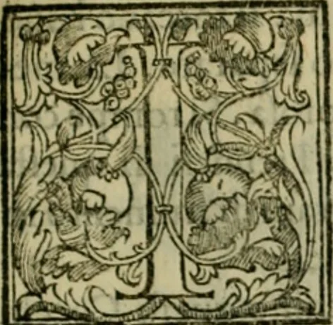 An illustration from Trattato di Christoforo Acosta africano medico & chirurgo della historia, natvra, et virtv delle droghe medicinali, & altri semplici rarissimi, che vengono portati dalle Indie Orientali in Europa : con le figure delle piante ritratte, & disegnate dal viuo poste a' luoghi proprij : nuouamente recato dalla spagnuola nella nostra lingua : con due indici, vno de' capi principali, l'altro delle cose di più momento, che si ritrouano in tutta l'opera, 1585, leaf 136