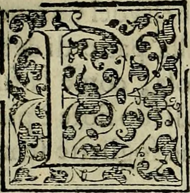 An illustration from Trattato di Christoforo Acosta africano medico & chirurgo della historia, natvra, et virtv delle droghe medicinali, & altri semplici rarissimi, che vengono portati dalle Indie Orientali in Europa : con le figure delle piante ritratte, & disegnate dal viuo poste a' luoghi proprij : nuouamente recato dalla spagnuola nella nostra lingua : con due indici, vno de' capi principali, l'altro delle cose di più momento, che si ritrouano in tutta l'opera, 1585, leaf 141