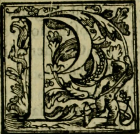 An illustration from Trattato di Christoforo Acosta africano medico & chirurgo della historia, natvra, et virtv delle droghe medicinali, & altri semplici rarissimi, che vengono portati dalle Indie Orientali in Europa : con le figure delle piante ritratte, & disegnate dal viuo poste a' luoghi proprij : nuouamente recato dalla spagnuola nella nostra lingua : con due indici, vno de' capi principali, l'altro delle cose di più momento, che si ritrouano in tutta l'opera, 1585, leaf 152