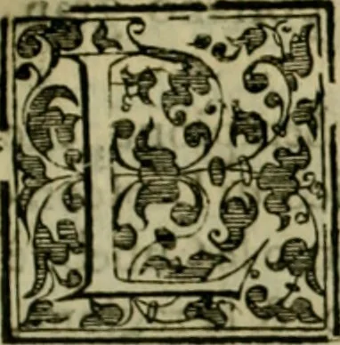 An illustration from Trattato di Christoforo Acosta africano medico & chirurgo della historia, natvra, et virtv delle droghe medicinali, & altri semplici rarissimi, che vengono portati dalle Indie Orientali in Europa : con le figure delle piante ritratte, & disegnate dal viuo poste a' luoghi proprij : nuouamente recato dalla spagnuola nella nostra lingua : con due indici, vno de' capi principali, l'altro delle cose di più momento, che si ritrouano in tutta l'opera, 1585, leaf 156