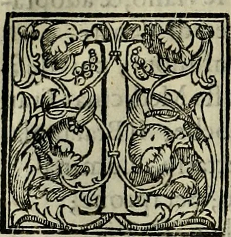 An illustration from Trattato di Christoforo Acosta africano medico & chirurgo della historia, natvra, et virtv delle droghe medicinali, & altri semplici rarissimi, che vengono portati dalle Indie Orientali in Europa : con le figure delle piante ritratte, & disegnate dal viuo poste a' luoghi proprij : nuouamente recato dalla spagnuola nella nostra lingua : con due indici, vno de' capi principali, l'altro delle cose di più momento, che si ritrouano in tutta l'opera, 1585, leaf 161