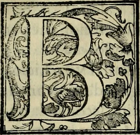 An illustration from Trattato di Christoforo Acosta africano medico & chirurgo della historia, natvra, et virtv delle droghe medicinali, & altri semplici rarissimi, che vengono portati dalle Indie Orientali in Europa : con le figure delle piante ritratte, & disegnate dal viuo poste a' luoghi proprij : nuouamente recato dalla spagnuola nella nostra lingua : con due indici, vno de' capi principali, l'altro delle cose di più momento, che si ritrouano in tutta l'opera, 1585, leaf 171