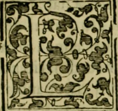 An illustration from Trattato di Christoforo Acosta africano medico & chirurgo della historia, natvra, et virtv delle droghe medicinali, & altri semplici rarissimi, che vengono portati dalle Indie Orientali in Europa : con le figure delle piante ritratte, & disegnate dal viuo poste a' luoghi proprij : nuouamente recato dalla spagnuola nella nostra lingua : con due indici, vno de' capi principali, l'altro delle cose di più momento, che si ritrouano in tutta l'opera, 1585, leaf 192