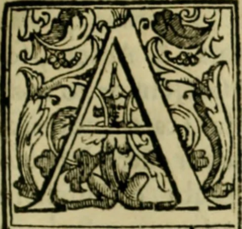An illustration from Trattato di Christoforo Acosta africano medico & chirurgo della historia, natvra, et virtv delle droghe medicinali, & altri semplici rarissimi, che vengono portati dalle Indie Orientali in Europa : con le figure delle piante ritratte, & disegnate dal viuo poste a' luoghi proprij : nuouamente recato dalla spagnuola nella nostra lingua : con due indici, vno de' capi principali, l'altro delle cose di più momento, che si ritrouano in tutta l'opera, 1585, leaf 198