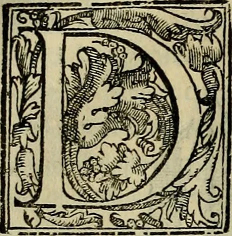 An illustration from Trattato di Christoforo Acosta africano medico & chirurgo della historia, natvra, et virtv delle droghe medicinali, & altri semplici rarissimi, che vengono portati dalle Indie Orientali in Europa : con le figure delle piante ritratte, & disegnate dal viuo poste a' luoghi proprij : nuouamente recato dalla spagnuola nella nostra lingua : con due indici, vno de' capi principali, l'altro delle cose di più momento, che si ritrouano in tutta l'opera, 1585, leaf 213