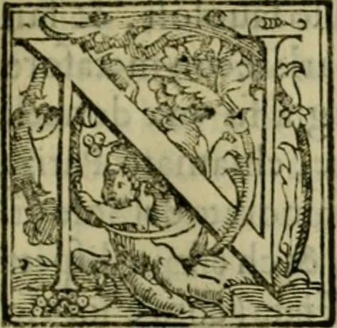 An illustration from Trattato di Christoforo Acosta africano medico & chirurgo della historia, natvra, et virtv delle droghe medicinali, & altri semplici rarissimi, che vengono portati dalle Indie Orientali in Europa : con le figure delle piante ritratte, & disegnate dal viuo poste a' luoghi proprij : nuouamente recato dalla spagnuola nella nostra lingua : con due indici, vno de' capi principali, l'altro delle cose di più momento, che si ritrouano in tutta l'opera, 1585, leaf 218