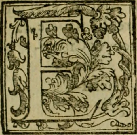 An illustration from Trattato di Christoforo Acosta africano medico & chirurgo della historia, natvra, et virtv delle droghe medicinali, & altri semplici rarissimi, che vengono portati dalle Indie Orientali in Europa : con le figure delle piante ritratte, & disegnate dal viuo poste a' luoghi proprij : nuouamente recato dalla spagnuola nella nostra lingua : con due indici, vno de' capi principali, l'altro delle cose di più momento, che si ritrouano in tutta l'opera, 1585, leaf 222