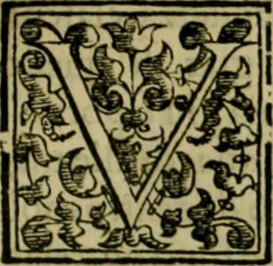 An illustration from Trattato di Christoforo Acosta africano medico & chirurgo della historia, natvra, et virtv delle droghe medicinali, & altri semplici rarissimi, che vengono portati dalle Indie Orientali in Europa : con le figure delle piante ritratte, & disegnate dal viuo poste a' luoghi proprij : nuouamente recato dalla spagnuola nella nostra lingua : con due indici, vno de' capi principali, l'altro delle cose di più momento, che si ritrouano in tutta l'opera, 1585, leaf 224