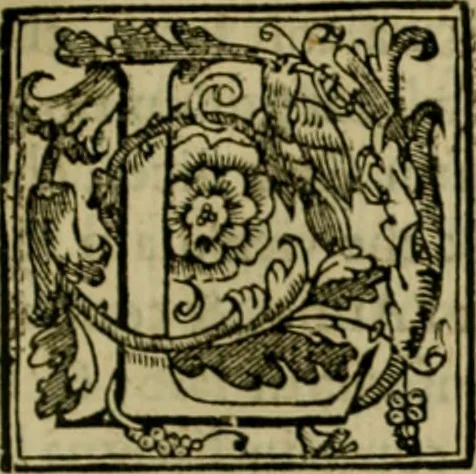 An illustration from Trattato di Christoforo Acosta africano medico & chirurgo della historia, natvra, et virtv delle droghe medicinali, & altri semplici rarissimi, che vengono portati dalle Indie Orientali in Europa : con le figure delle piante ritratte, & disegnate dal viuo poste a' luoghi proprij : nuouamente recato dalla spagnuola nella nostra lingua : con due indici, vno de' capi principali, l'altro delle cose di più momento, che si ritrouano in tutta l'opera, 1585, leaf 228