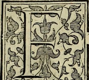An illustration from Trattato di Christoforo Acosta africano medico & chirurgo della historia, natvra, et virtv delle droghe medicinali, & altri semplici rarissimi, che vengono portati dalle Indie Orientali in Europa : con le figure delle piante ritratte, & disegnate dal viuo poste a' luoghi proprij : nuouamente recato dalla spagnuola nella nostra lingua : con due indici, vno de' capi principali, l'altro delle cose di più momento, che si ritrouano in tutta l'opera, 1585, leaf 237