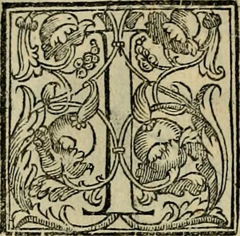 An illustration from Trattato di Christoforo Acosta africano medico & chirurgo della historia, natvra, et virtv delle droghe medicinali, & altri semplici rarissimi, che vengono portati dalle Indie Orientali in Europa : con le figure delle piante ritratte, & disegnate dal viuo poste a' luoghi proprij : nuouamente recato dalla spagnuola nella nostra lingua : con due indici, vno de' capi principali, l'altro delle cose di più momento, che si ritrouano in tutta l'opera, 1585, leaf 247
