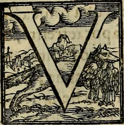 An illustration from Trattato di Christoforo Acosta africano medico & chirurgo della historia, natvra, et virtv delle droghe medicinali, & altri semplici rarissimi, che vengono portati dalle Indie Orientali in Europa : con le figure delle piante ritratte, & disegnate dal viuo poste a' luoghi proprij : nuouamente recato dalla spagnuola nella nostra lingua : con due indici, vno de' capi principali, l'altro delle cose di più momento, che si ritrouano in tutta l'opera, 1585, leaf 255