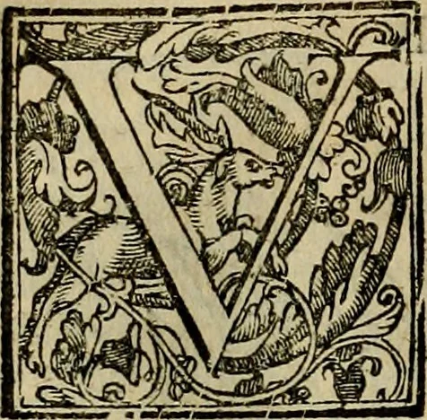 An illustration from Trattato di Christoforo Acosta africano medico & chirurgo della historia, natvra, et virtv delle droghe medicinali, & altri semplici rarissimi, che vengono portati dalle Indie Orientali in Europa : con le figure delle piante ritratte, & disegnate dal viuo poste a' luoghi proprij : nuouamente recato dalla spagnuola nella nostra lingua : con due indici, vno de' capi principali, l'altro delle cose di più momento, che si ritrouano in tutta l'opera, 1585, leaf 257