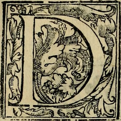 An illustration from Trattato di Christoforo Acosta africano medico & chirurgo della historia, natvra, et virtv delle droghe medicinali, & altri semplici rarissimi, che vengono portati dalle Indie Orientali in Europa : con le figure delle piante ritratte, & disegnate dal viuo poste a' luoghi proprij : nuouamente recato dalla spagnuola nella nostra lingua : con due indici, vno de' capi principali, l'altro delle cose di più momento, che si ritrouano in tutta l'opera, 1585, leaf 265