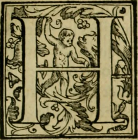 An illustration from Trattato di Christoforo Acosta africano medico & chirurgo della historia, natvra, et virtv delle droghe medicinali, & altri semplici rarissimi, che vengono portati dalle Indie Orientali in Europa : con le figure delle piante ritratte, & disegnate dal viuo poste a' luoghi proprij : nuouamente recato dalla spagnuola nella nostra lingua : con due indici, vno de' capi principali, l'altro delle cose di più momento, che si ritrouano in tutta l'opera, 1585, leaf 268