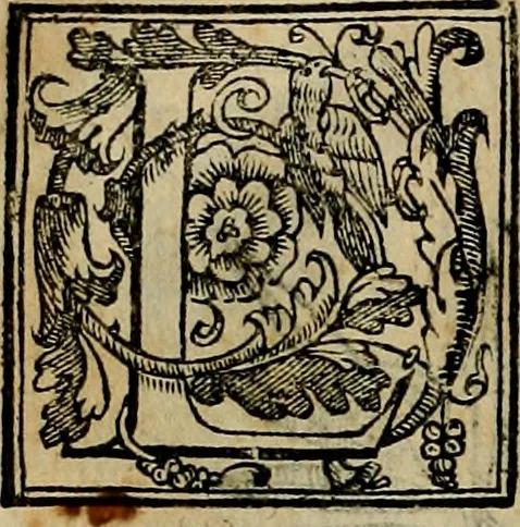 An illustration from Trattato di Christoforo Acosta africano medico & chirurgo della historia, natvra, et virtv delle droghe medicinali, & altri semplici rarissimi, che vengono portati dalle Indie Orientali in Europa : con le figure delle piante ritratte, & disegnate dal viuo poste a' luoghi proprij : nuouamente recato dalla spagnuola nella nostra lingua : con due indici, vno de' capi principali, l'altro delle cose di più momento, che si ritrouano in tutta l'opera, 1585, leaf 277