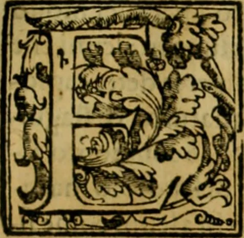 An illustration from Trattato di Christoforo Acosta africano medico & chirurgo della historia, natvra, et virtv delle droghe medicinali, & altri semplici rarissimi, che vengono portati dalle Indie Orientali in Europa : con le figure delle piante ritratte, & disegnate dal viuo poste a' luoghi proprij : nuouamente recato dalla spagnuola nella nostra lingua : con due indici, vno de' capi principali, l'altro delle cose di più momento, che si ritrouano in tutta l'opera, 1585, leaf 294