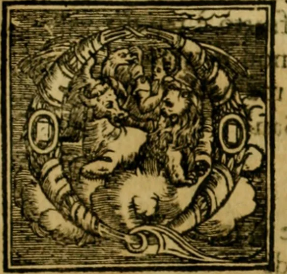 An illustration from Trattato di Christoforo Acosta africano medico & chirurgo della historia, natvra, et virtv delle droghe medicinali, & altri semplici rarissimi, che vengono portati dalle Indie Orientali in Europa : con le figure delle piante ritratte, & disegnate dal viuo poste a' luoghi proprij : nuouamente recato dalla spagnuola nella nostra lingua : con due indici, vno de' capi principali, l'altro delle cose di più momento, che si ritrouano in tutta l'opera, 1585, leaf 300